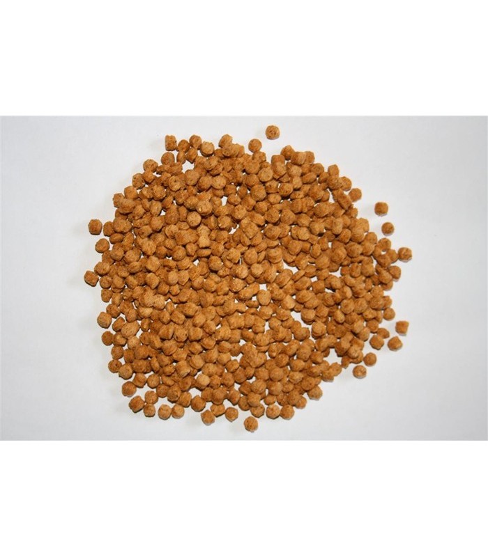 Tarta Carota – Mangime vegetale per tartarughe terrestri senza proteine animali,