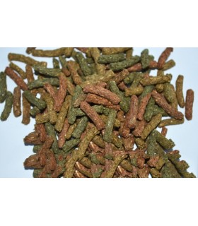 alimento vegetale per tartarughe terrestri