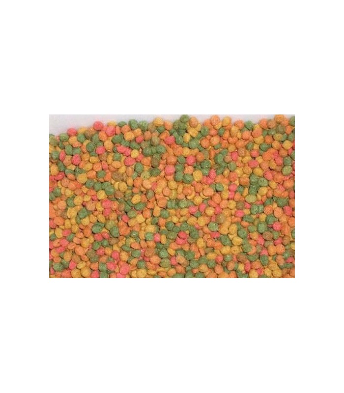 Mangime vegetale Tarta Pro Energy per tartarughe terrestri