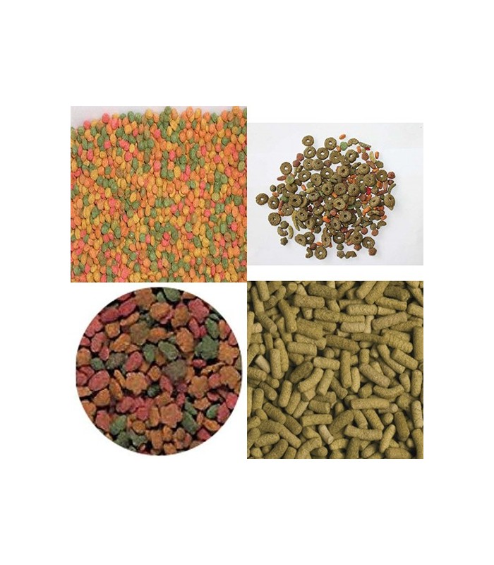 Pacco prova alimenti vegetali per tartarughe terrestri – 4+1 omaggio