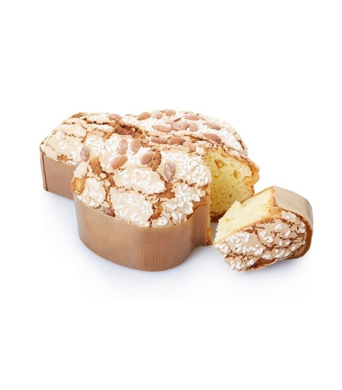 come-costruire-cella-lievitazione-super