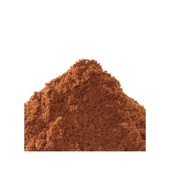 Cocco Bio Fondo per Terrari