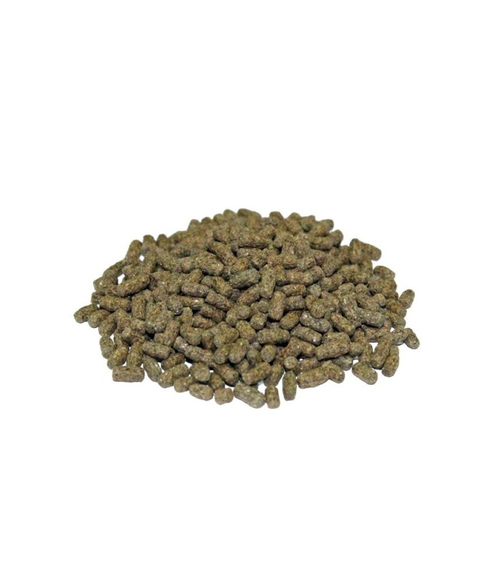 Mangime complementare in stick per tartarughe terrestri e acquatiche