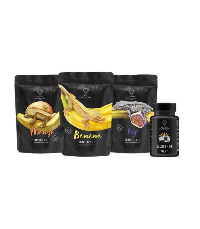Starter set Gecko Nutrition con 3 alimenti e calcio D3,
