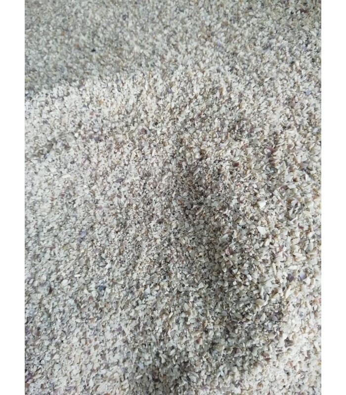 sabbia-calcarea-per-acquario-marino-100-naturale