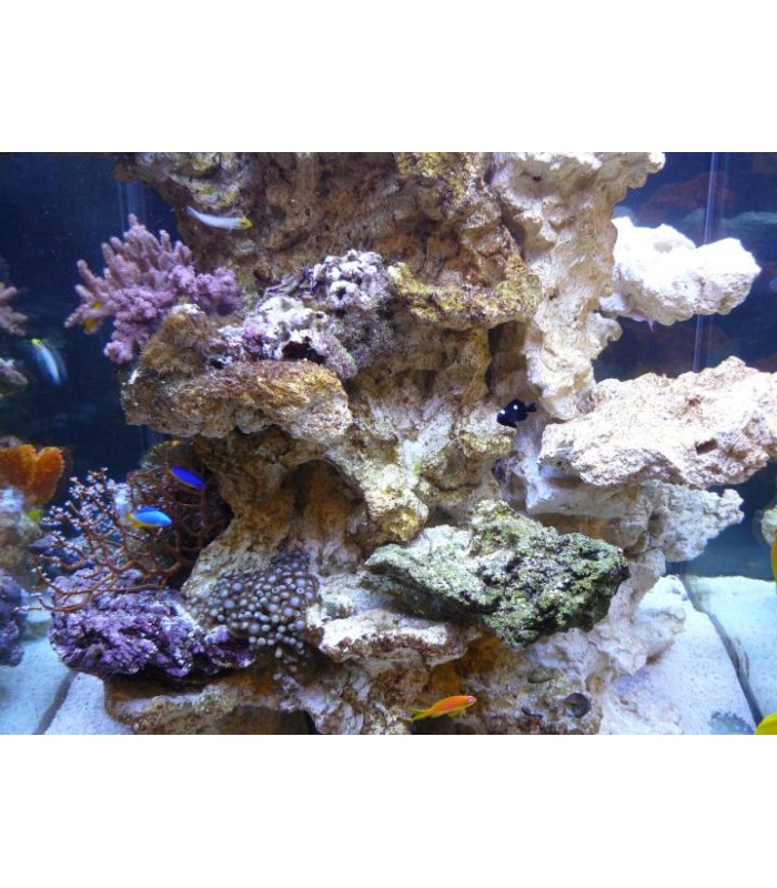 AQUAROCHE Roccia in ceramica per acquari marini dolci reef e paludari