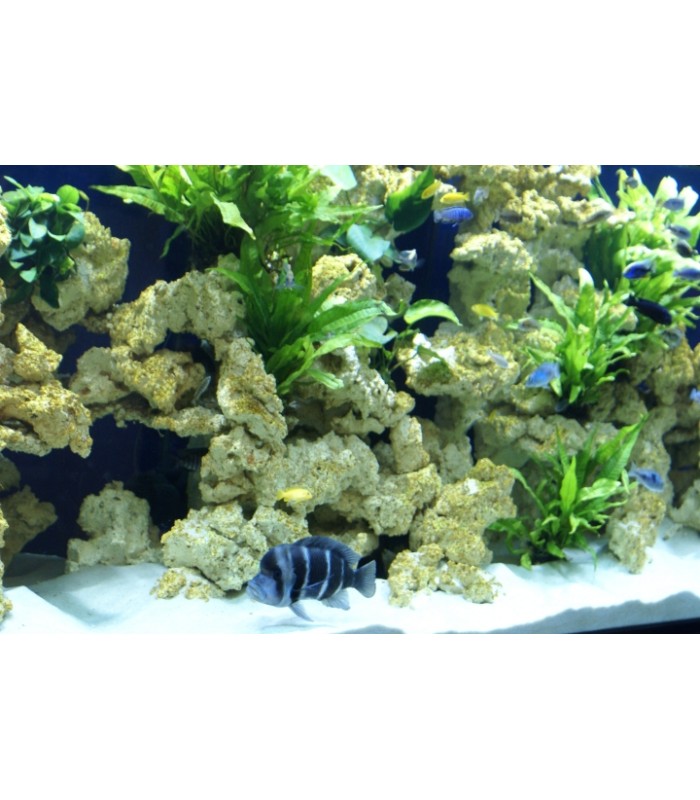 AQUAROCHE Roccia in ceramica per acquari marini dolci reef e paludari