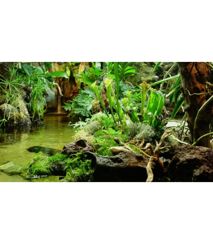 AQUAROCHE Roccia in ceramica per acquari marini dolci reef e paludari