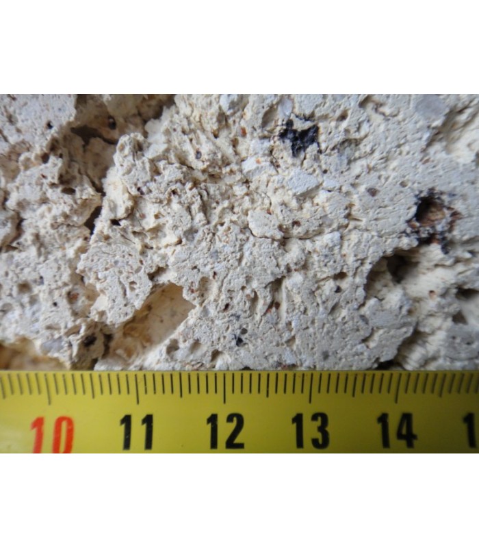 AQUAROCHE Roccia in ceramica per acquari marini dolci reef e paludari