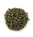 GREEN PELLET SPIRULINA per Koi e pesci da laghetto