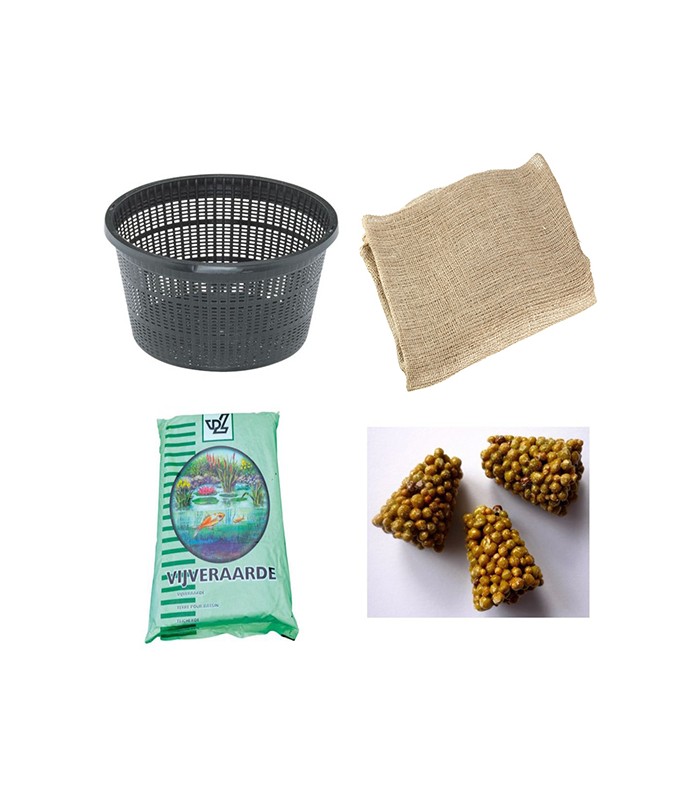 kit vaso e terriccio ninfee