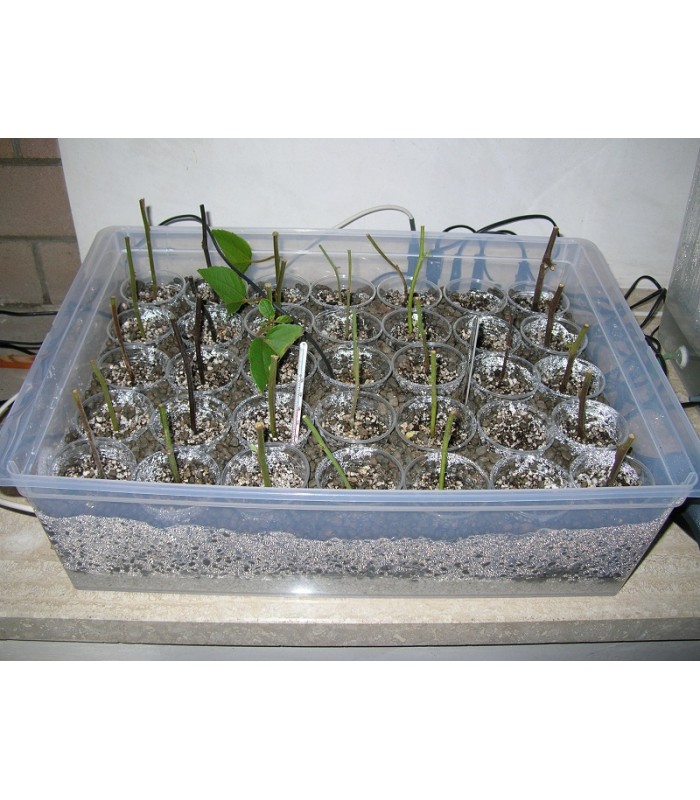 Cavo Riscaldante con Termostato JT 500