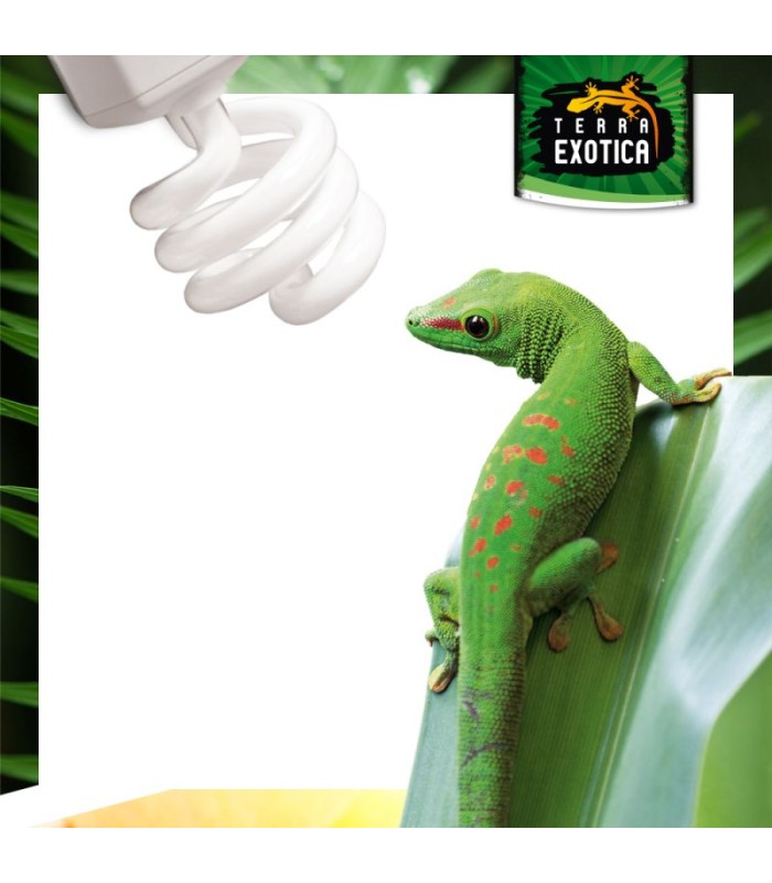Lampada Uvb 5% 23w Jungle Light  - Terra Exotica
