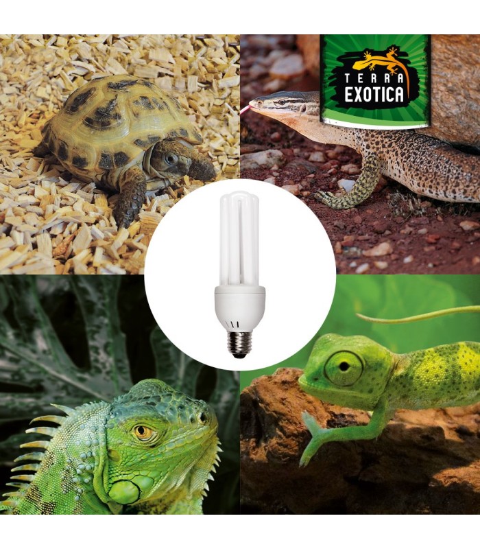 Lampada 23w uvb 8% per rettili