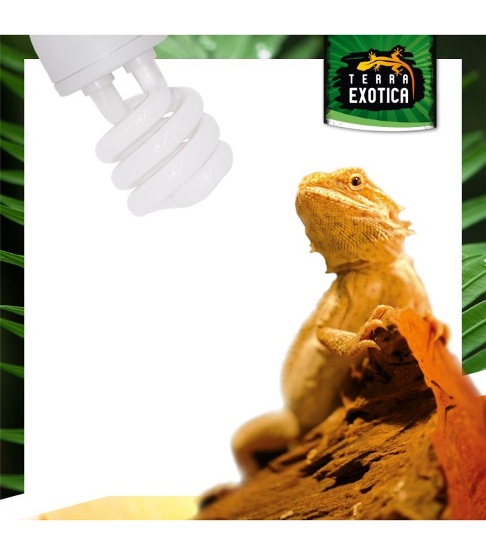 Lampada per rettili 10% 13w