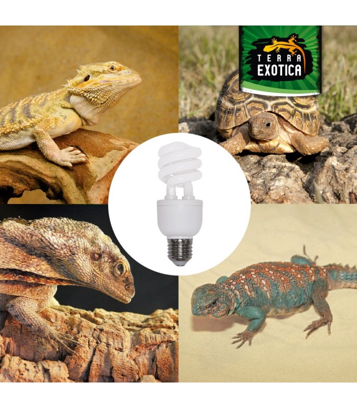 Lampada rettili 10% 13w
