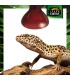Lampada spot infrarossi rossa Terra Exotica per terrari rettili