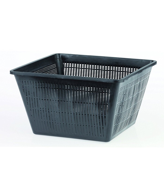 vaso quadro per piante acquatiche