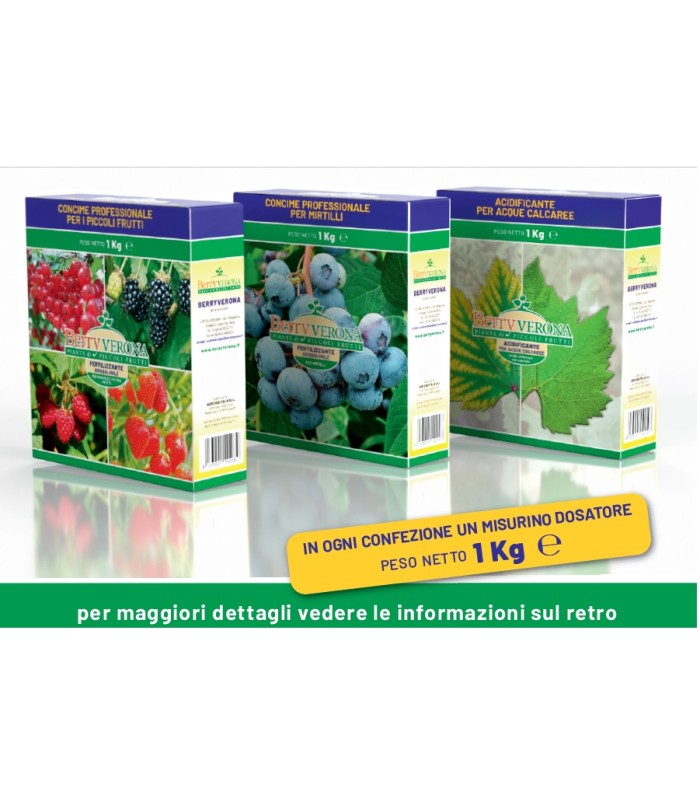 concime per piccoli frutti e mirtilli