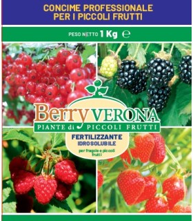 concime per frutti di bosco