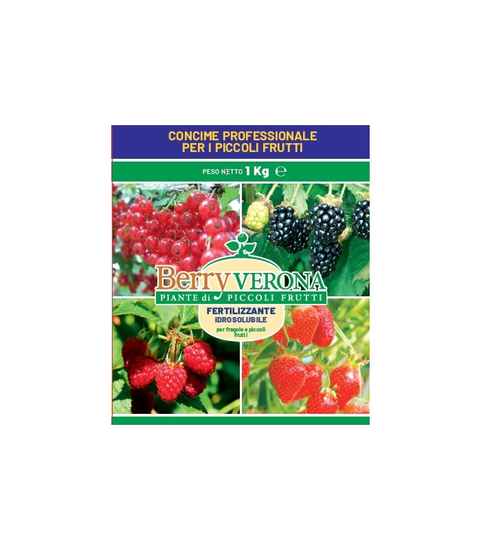 concime per frutti di bosco