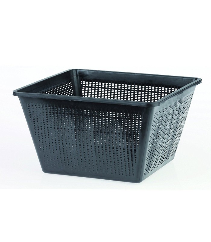 vaso ninfee quadrato