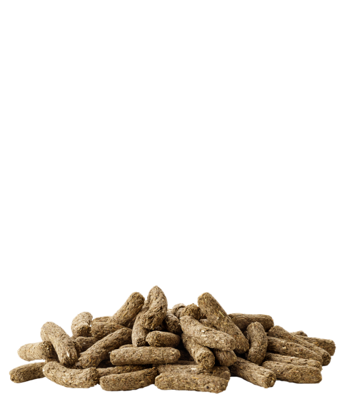 alimento vegetale per tartarughe terrestri