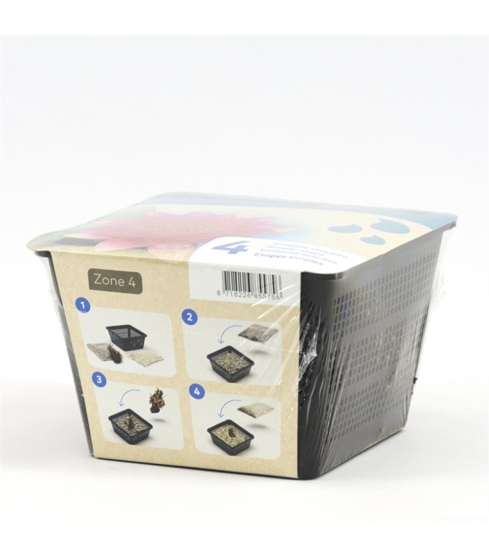 ninfee-rosa-gialle-rosse-bianche-fioritura