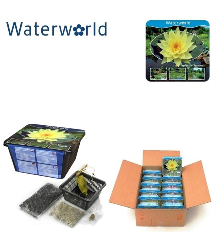 ninfea-base-kit-piantumazione-istruzioni