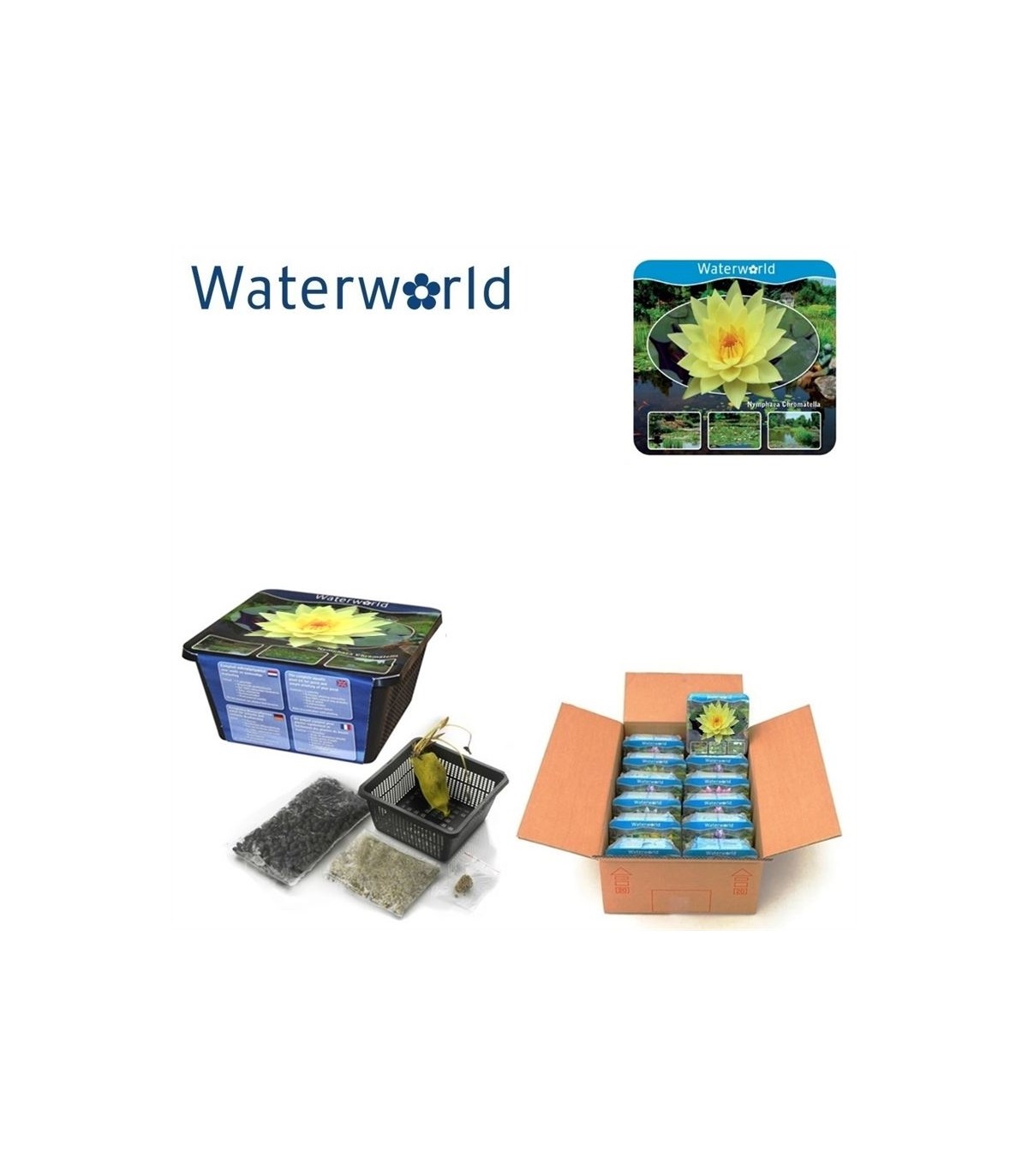 ninfea-base-kit-piantumazione-istruzioni