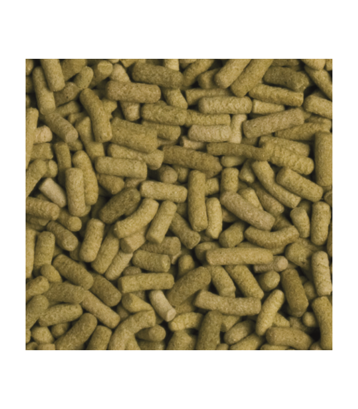 Turtles Tortoises Sticks, alimento vegetale per tartarughe terrestri e acquatiche