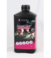 Hydra Crystal Clear