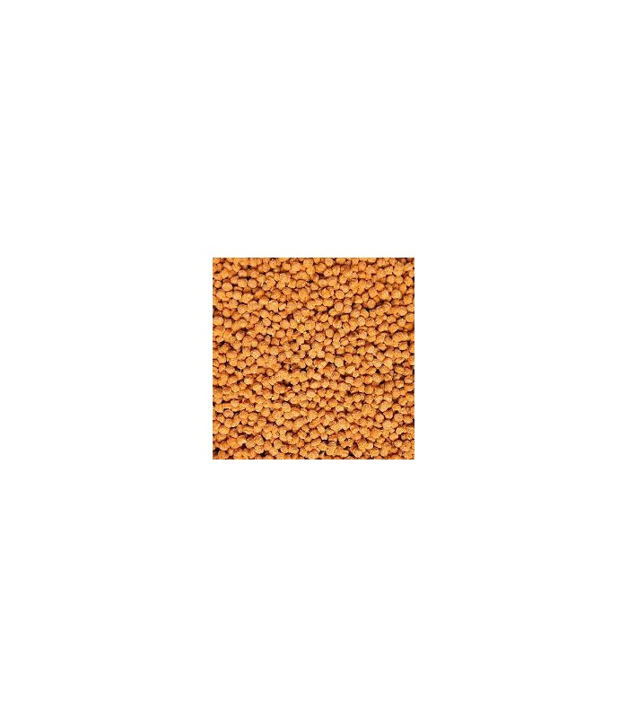 Set Mangimi complementari naturali senza proteine animali per testudo