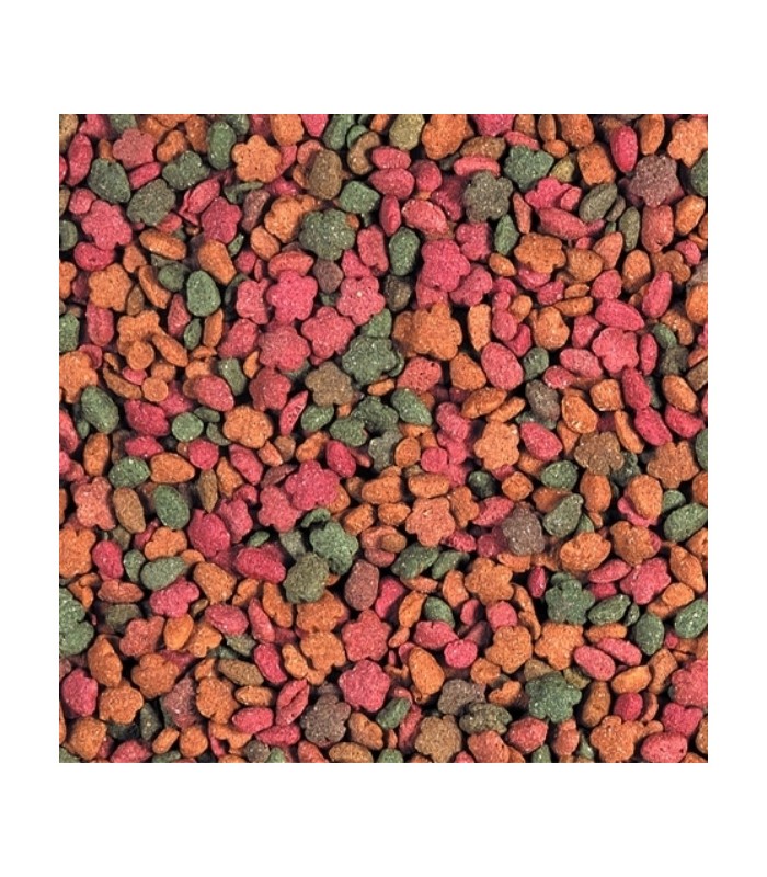 Pacco Prova Mangimi Vegetali per Tartarughe Terrestri – 4+1 Omaggio