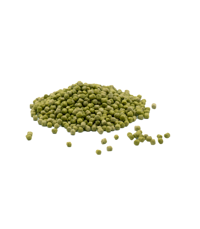 Pacco Prova Mangimi Vegetali per Tartarughe Terrestri – 4+1 Omaggio