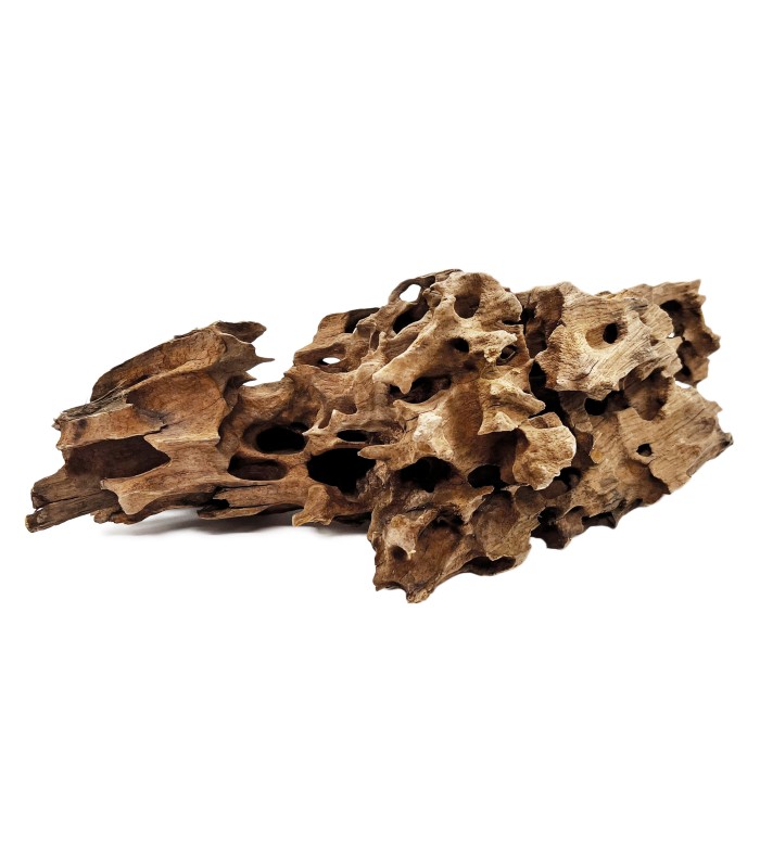 LEGNO RADICE HONEYCOMB per acquario-terrario-paludario