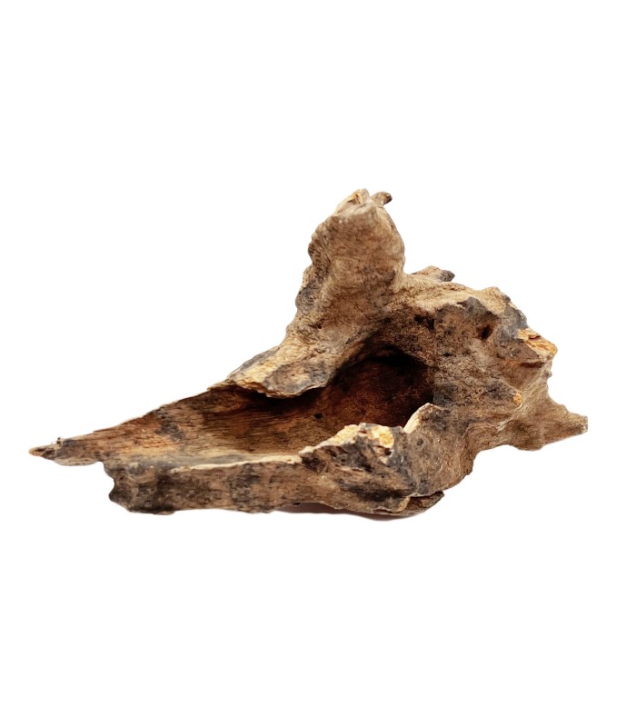 LEGNO RADICE HONEYCOMB per acquario-terrario-paludario