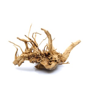 legno radice azalea per terrario