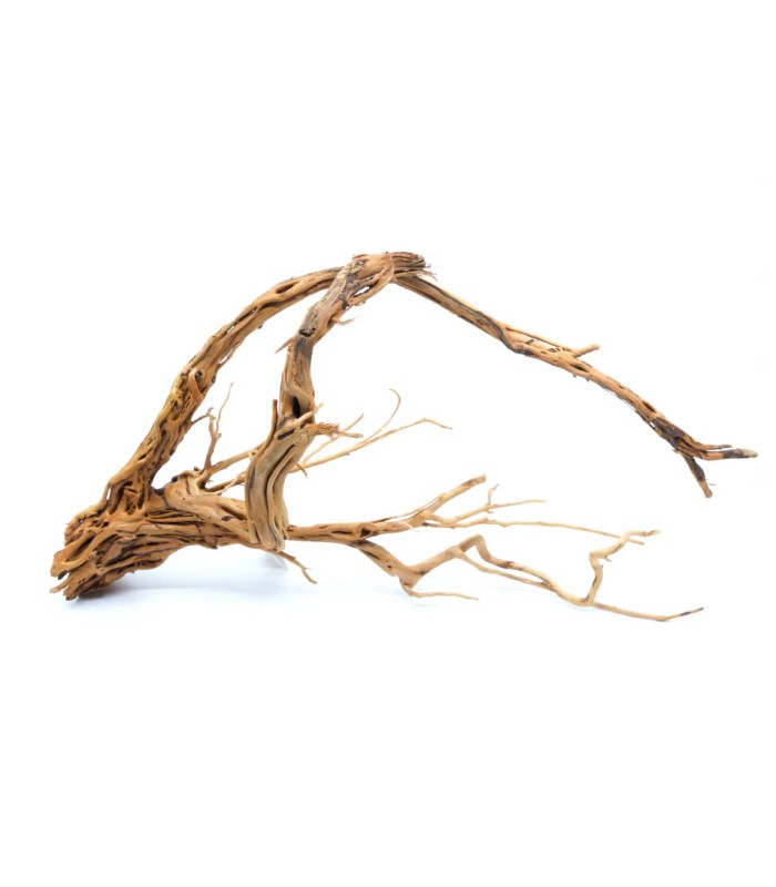 legno radice azalea per paludario