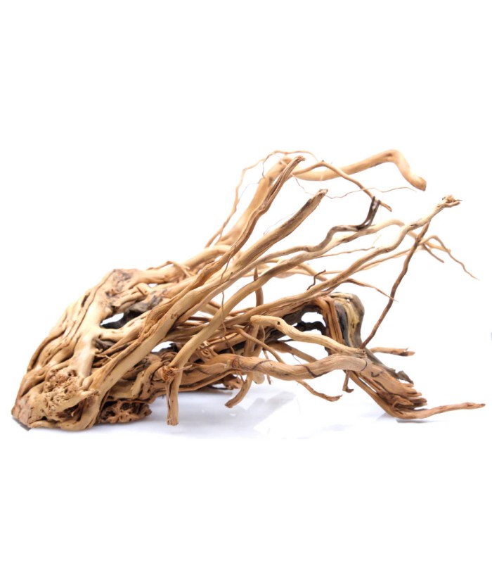 legno radice azalea per acquario