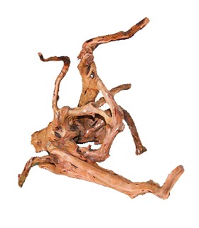 legno driftwood per terrario