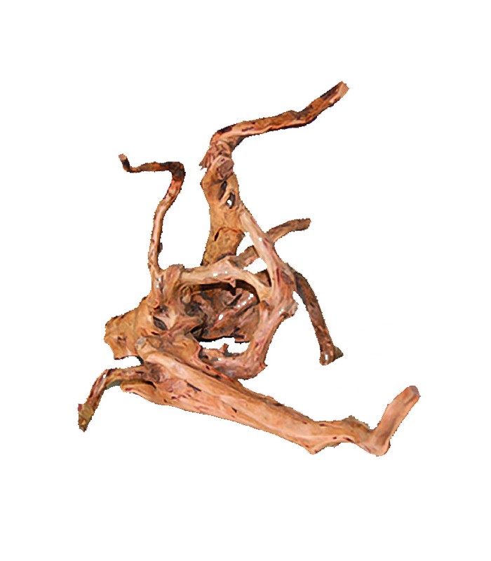 legno driftwood per terrario