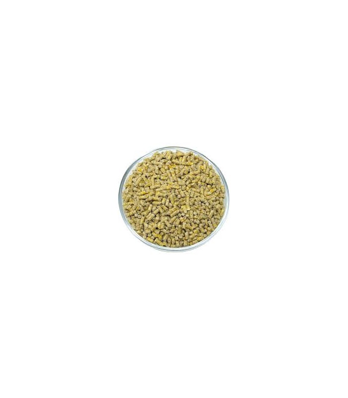alimento per grilli da pasto