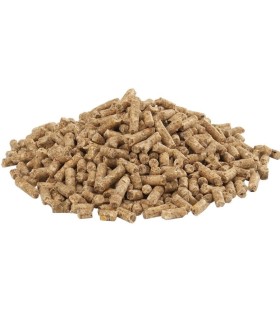 Alimento per Insetti da pasto