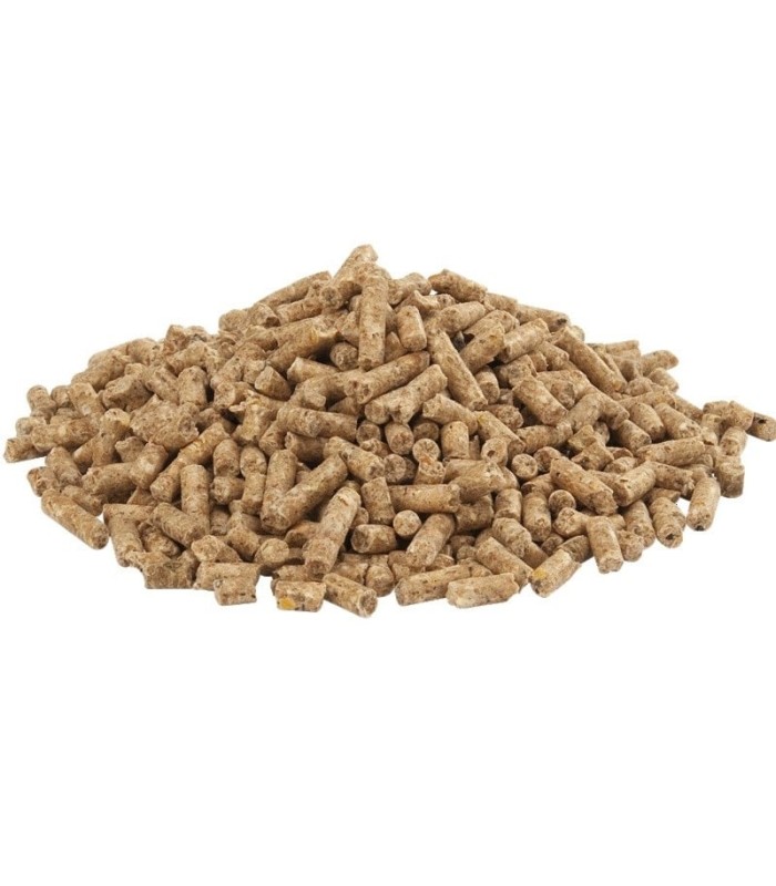 Alimento per Insetti da pasto