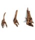 legno amazzonia