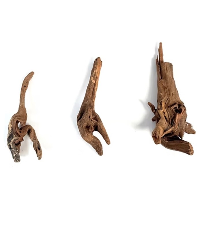 legno amazzonia
