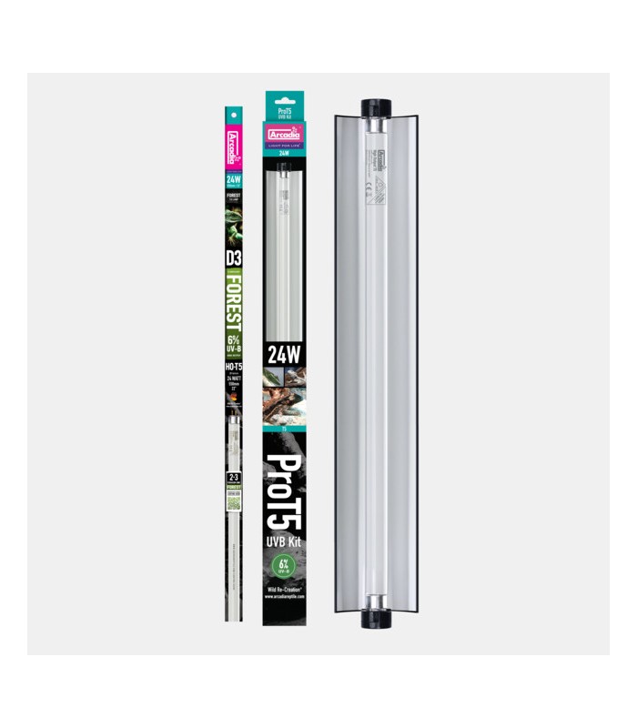 ARCADIA PRO T5 SET 6% UVB FOREST | neon+plafoniera 24w