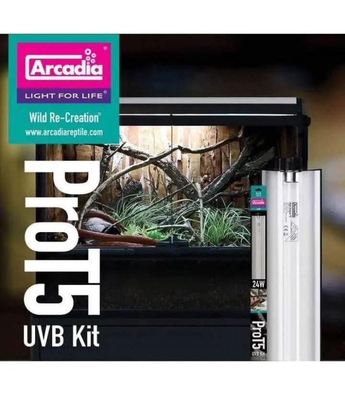 ARCADIA PRO T5 SET 6% UVB FOREST | neon+plafoniera