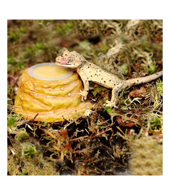 portagel per gelatine